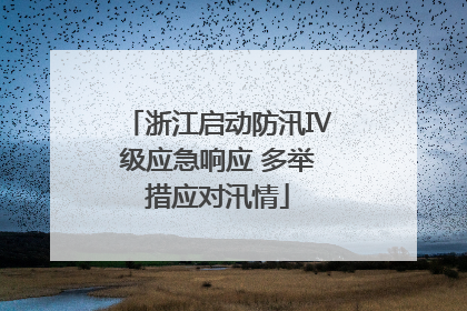 浙江启动防汛Ⅳ级应急响应 多举措应对汛情